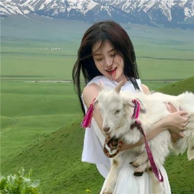 绝命毒师第一季