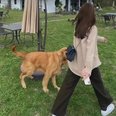 我被沐总宠哭了